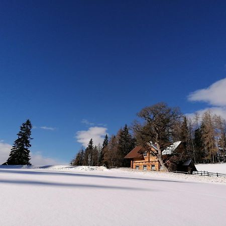 Ferienhaus Bichlhuette Pruggern Bagian luar foto