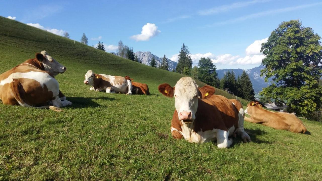Ferienhaus Bichlhuette Pruggern Bagian luar foto