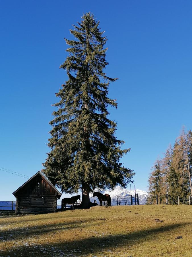 Ferienhaus Bichlhuette Pruggern Bagian luar foto