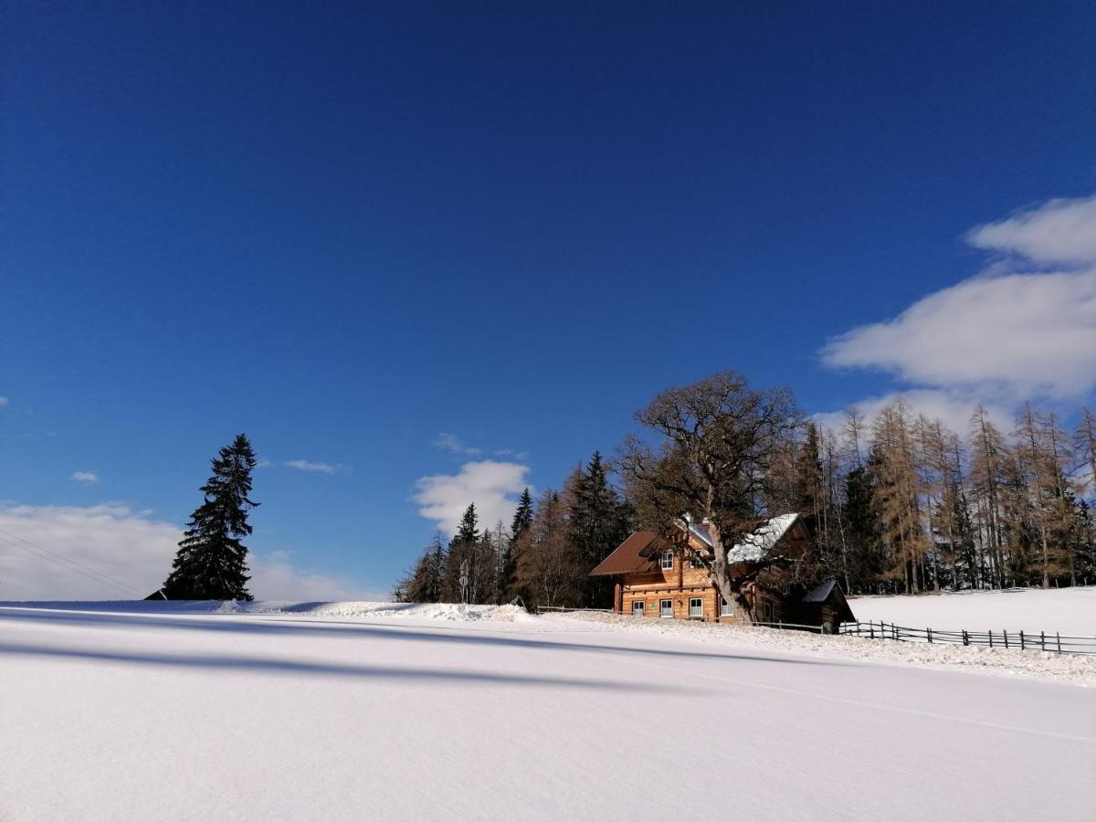 Ferienhaus Bichlhuette Pruggern Bagian luar foto