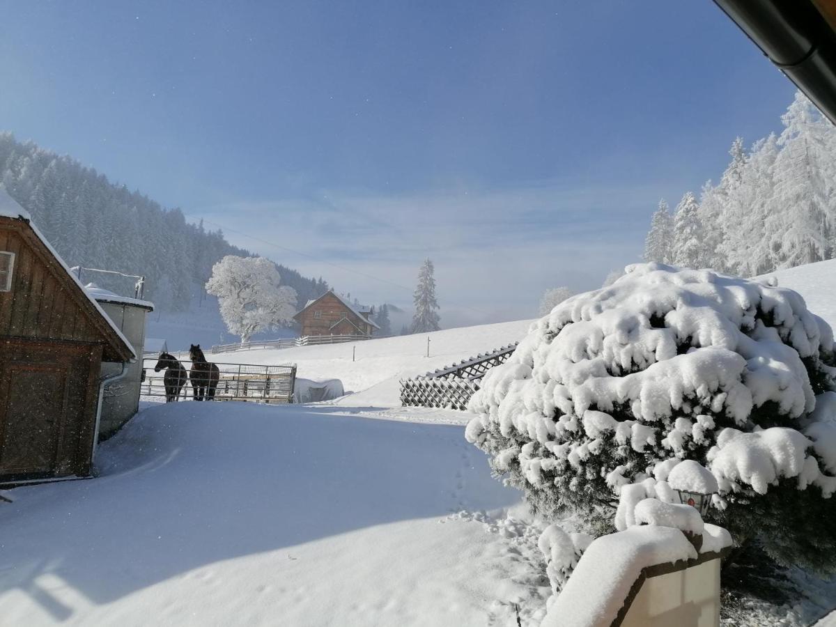 Ferienhaus Bichlhuette Pruggern Bagian luar foto