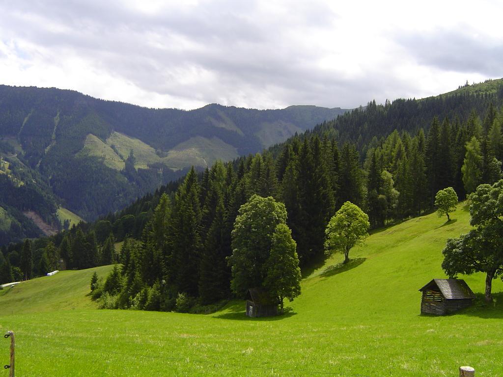 Ferienhaus Bichlhuette Pruggern Ruang foto