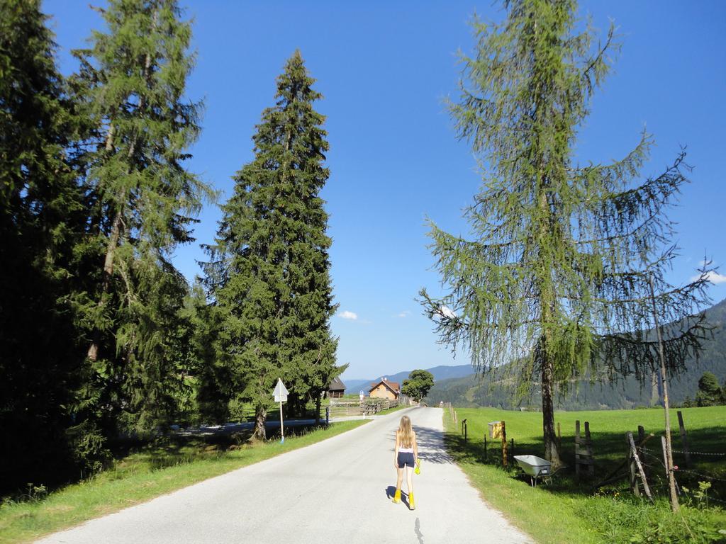 Ferienhaus Bichlhuette Pruggern Ruang foto