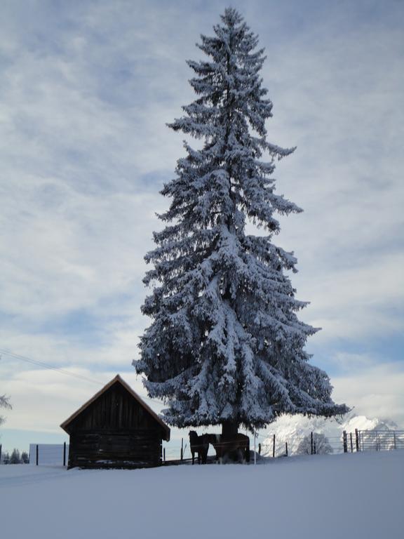 Ferienhaus Bichlhuette Pruggern Ruang foto