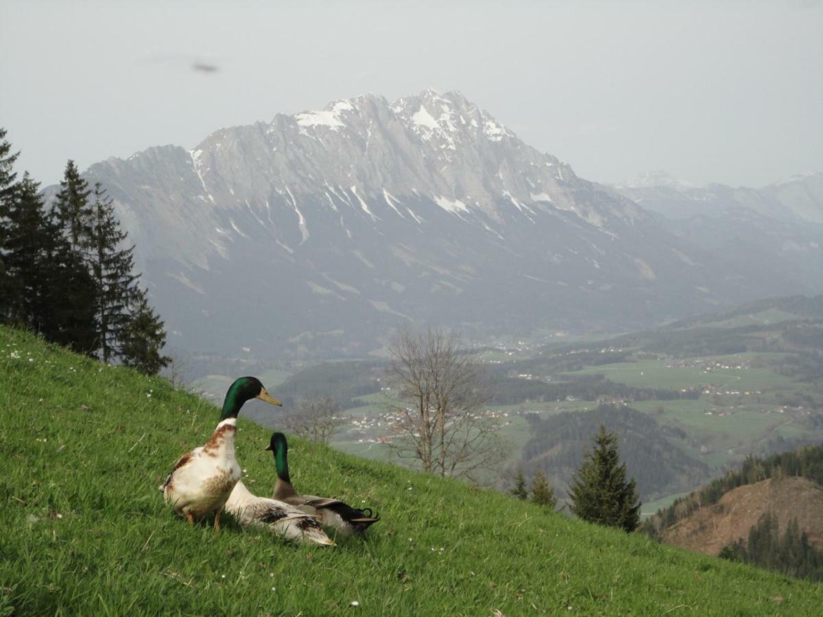 Ferienhaus Bichlhuette Pruggern Bagian luar foto